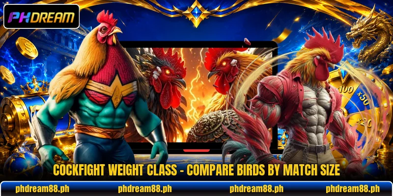 Cockfight Weight Class - Compare Birds By Match Size