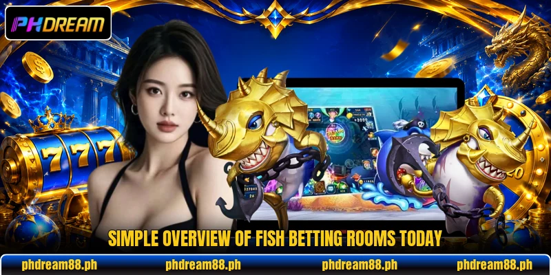Simple overview of Fish betting rooms today